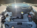 Thumbnail image of 2024 Nissan Pathfinder at Phelps Chevrolet Greenville - New