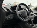 Thumbnail image of 2019 Ford Escape at Lasco Ford