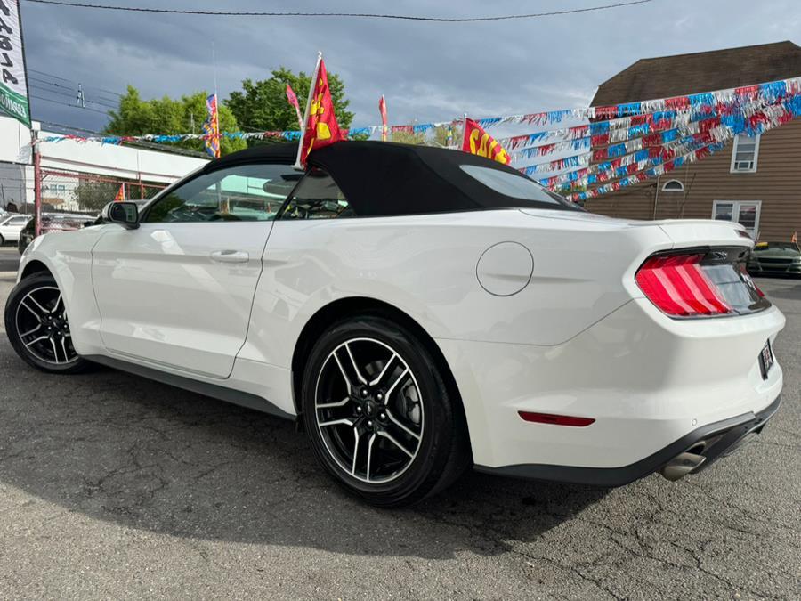 Thumbnail image of 2022 Ford Mustang at Champion Auto Sales Broadway