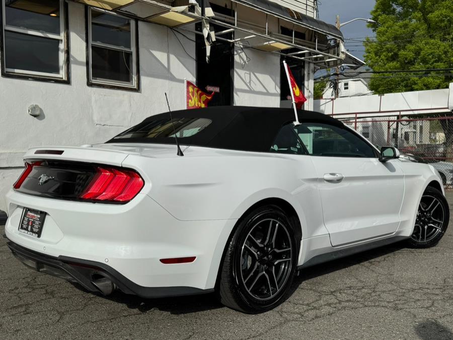 Thumbnail image of 2022 Ford Mustang at Champion Auto Sales Broadway