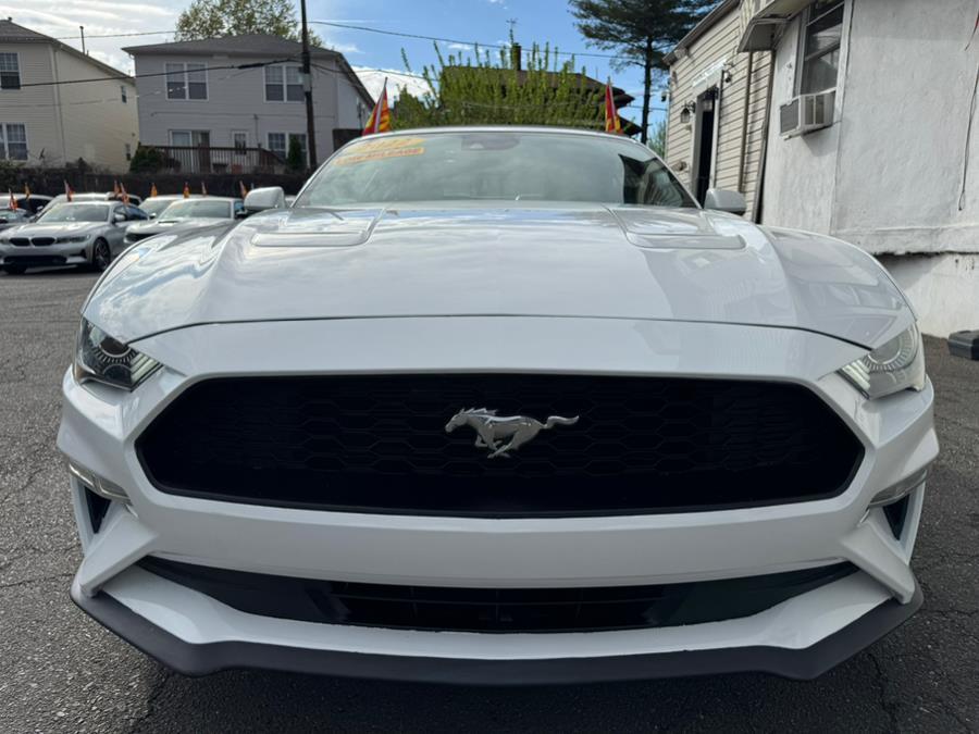 Thumbnail image of 2022 Ford Mustang at Champion Auto Sales Broadway