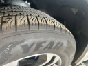 Thumbnail image of 2023 Ford F-150 at LeifJohnsonFord - USED