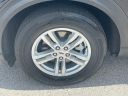 Thumbnail image of 2023 Ford Explorer at Wayne Akers Ford