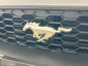 Thumbnail image of 2023 Ford Mustang at MccaffertyFordOfLanghorne of Langhorne, PA