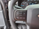 Thumbnail image of 2025 Ford F-350 Super Duty at Duncan Ford Chrysler