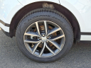 Thumbnail image of 2024 Land Rover Range Rover Evoque at Piazza Jaguar Land Rover Willow Grove