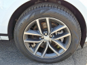 Thumbnail image of 2024 Land Rover Range Rover Evoque at Piazza Jaguar Land Rover Willow Grove