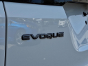 Thumbnail image of 2024 Land Rover Range Rover Evoque at Piazza Jaguar Land Rover Willow Grove