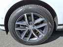 Thumbnail image of 2024 Land Rover Range Rover Evoque at Piazza Jaguar Land Rover Willow Grove
