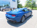 Thumbnail image of 2024 Ford Mustang at Jerry's Ford Leesburg