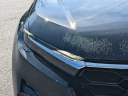 Thumbnail image of 2025 Honda CR-V at Jenkins Honda of Leesburg Used
