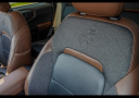 Thumbnail image of 2022 Ford Bronco Sport at Cannon Toyota