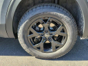 Thumbnail image of 2025 Volkswagen Atlas at Bert Smith VW Subaru - NEW