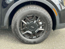 Thumbnail image of 2024 Kia Sorento at South Shore Kia