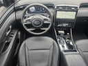 Thumbnail image of 2024 Hyundai SANTA CRUZ at Suntrup Ford Westport