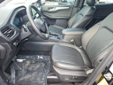 Thumbnail image of 2025 Ford Escape Plug-In Hybrid at Robert Horne Ford New