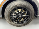 Thumbnail image of 2024 Honda CR-V Hybrid at Toyota Scion of Tampa Bay