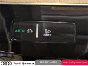 Thumbnail image of 2024 Audi Q8 e-tron at Audi Queens