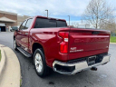 Thumbnail image of 2019 Chevrolet Silverado 1500 at Lafontaine Chevrolet