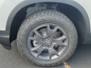 Thumbnail image of 2025 Honda Passport at Metro Honda