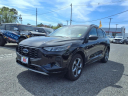 Thumbnail image of 2023 Ford Escape at Larson Ford