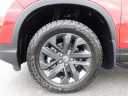 2025 Honda Ridgeline Sport at Wetzel Honda