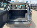Thumbnail image of 2021 Ford EcoSport at LaFontaine Ford Birch Run