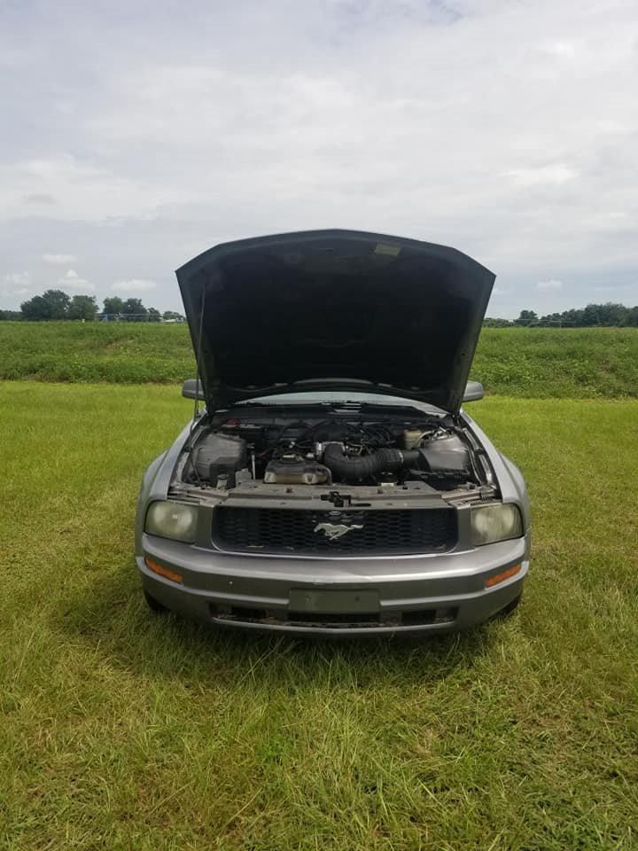 Thumbnail image of 2007 Ford Mustang at Trading Waynes