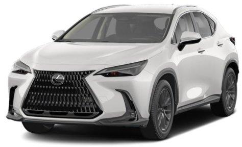 Thumbnail image of 2024 Lexus NX 350h at Hilton Head Lexus