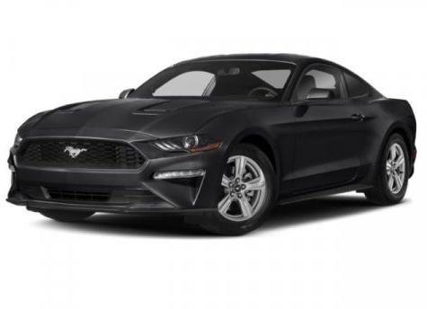 Thumbnail image of 2019 Ford Mustang at Phelps Chevrolet Greenville - New