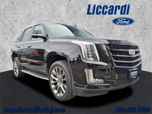 Thumbnail image of 2019 Cadillac Escalade at Liccardi Ford Inc