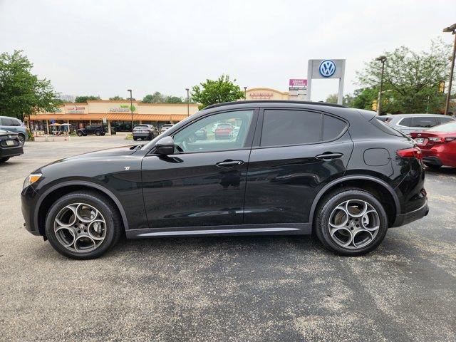Thumbnail image of 2023 Alfa Romeo Stelvio at Piazza Acura of Ardmore - NEW