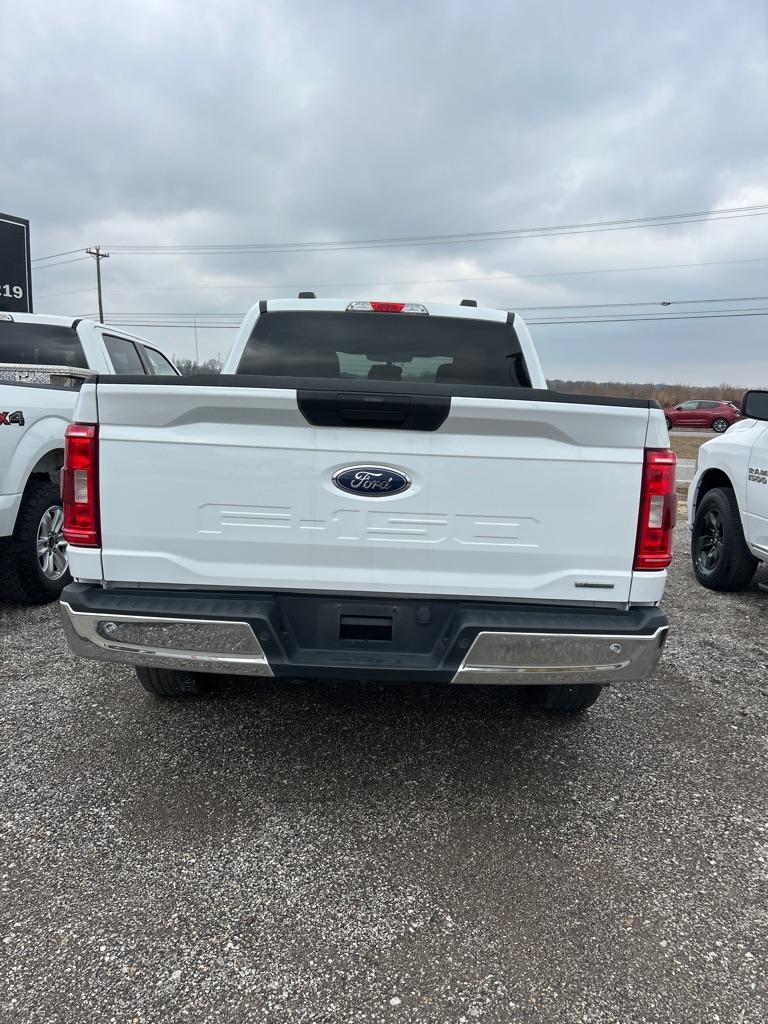 Thumbnail image of 2023 Ford F-150 at PERFORMANCE 219 AUTOPLEX, LLC
