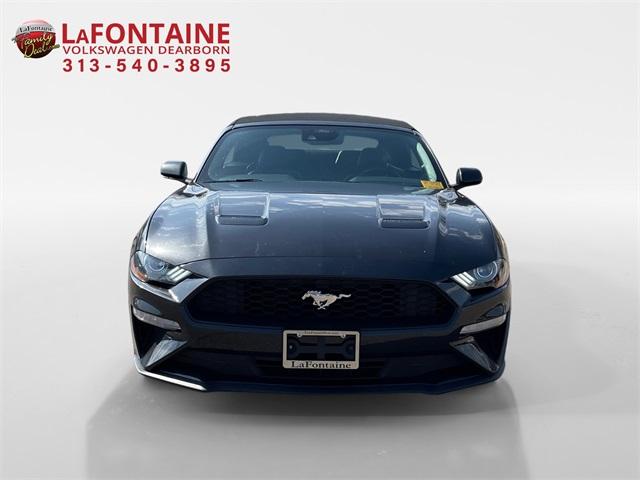 Thumbnail image of 2023 Ford Mustang at LaFontaine Volkswagen of Dearborn