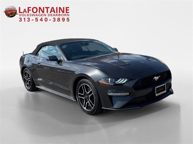 Thumbnail image of 2023 Ford Mustang at LaFontaine Volkswagen of Dearborn