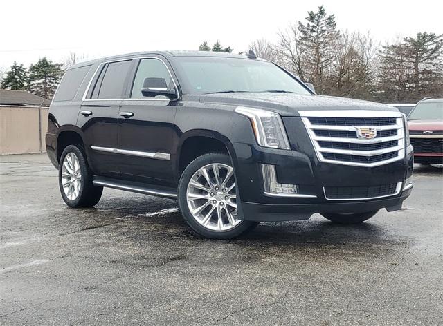 Thumbnail image of 2019 Cadillac Escalade at Milnes Chevrolet, Inc.