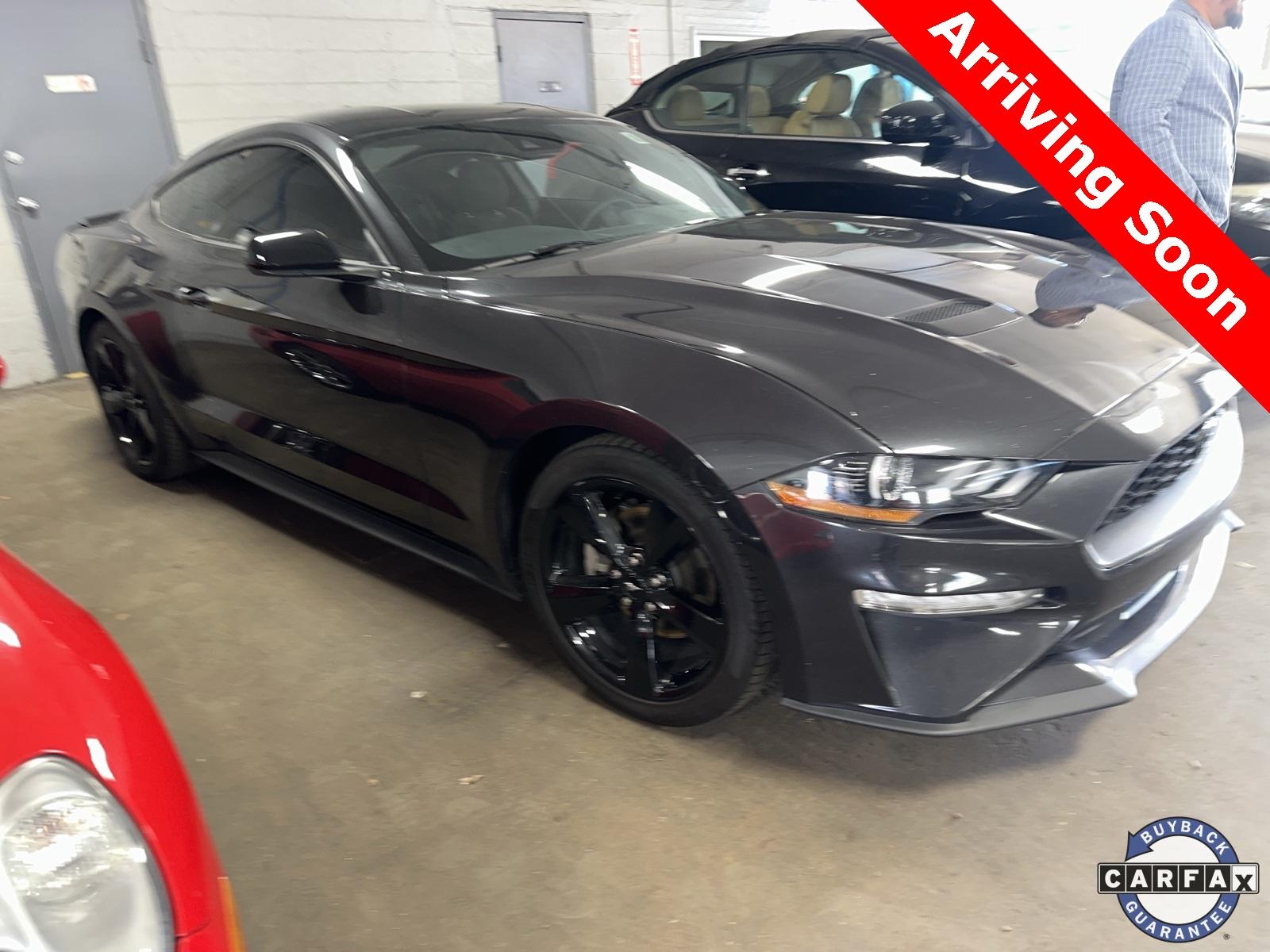 Thumbnail image of 2022 Ford Mustang at Bell Mitsubishi
