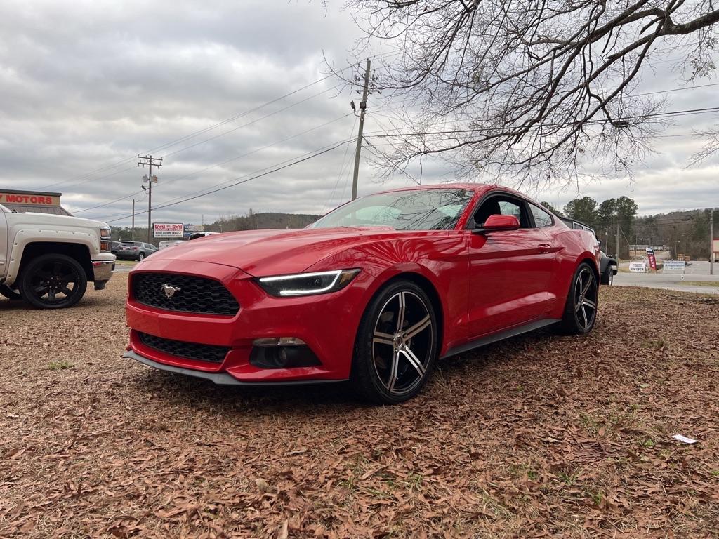 Thumbnail image of 2016 Ford Mustang at M&M Luxury Motors