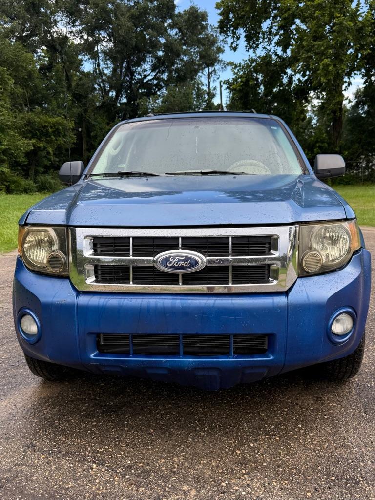 Thumbnail image of 2010 Ford Escape at FSM AUTO INC