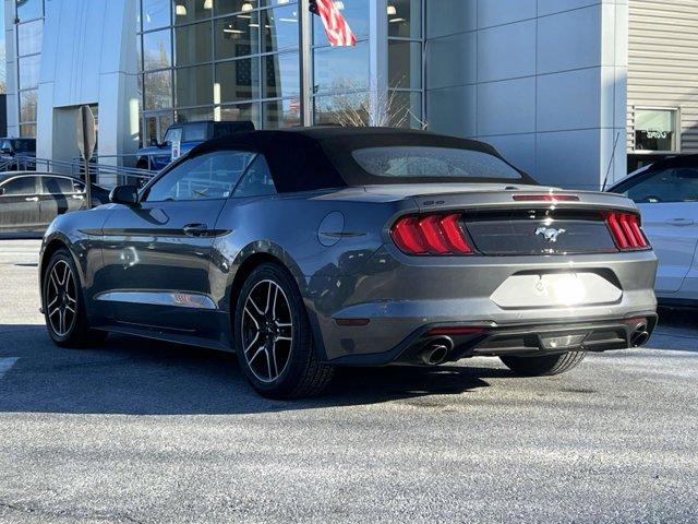 Thumbnail image of 2021 Ford Mustang at Wayne Ford
