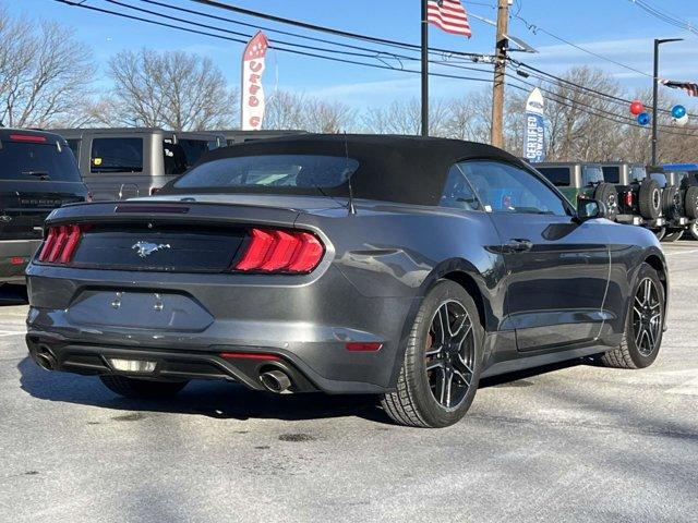 Thumbnail image of 2021 Ford Mustang at Wayne Ford