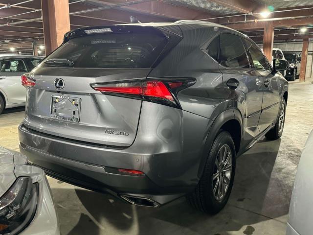 Thumbnail image of 2021 Lexus NX 300 at Lexus of Freeport