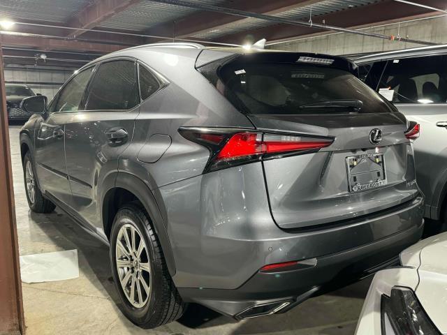Thumbnail image of 2021 Lexus NX 300 at Lexus of Freeport