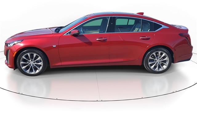 Thumbnail image of 2022 Cadillac CT5 at Al Serra Chrysler  Dodge Jeep Ram
