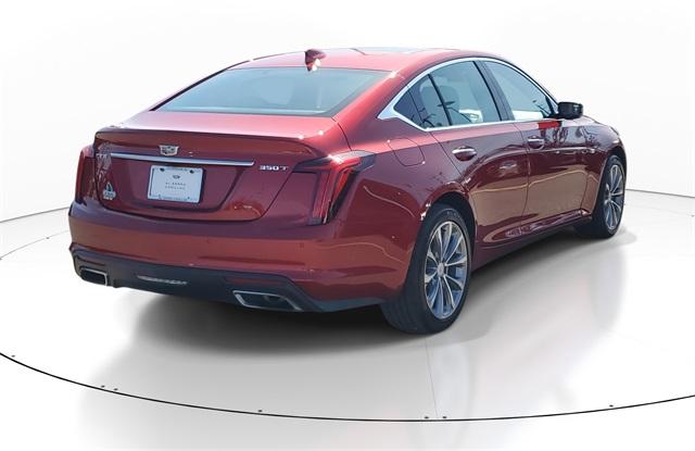 Thumbnail image of 2022 Cadillac CT5 at Al Serra Chrysler  Dodge Jeep Ram