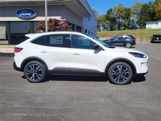 Thumbnail image of 2022 Ford Escape at Sternberg Ford