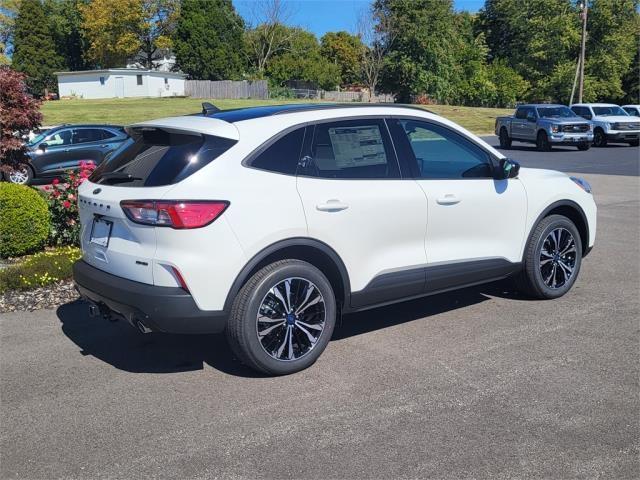 Thumbnail image of 2022 Ford Escape at Sternberg Ford