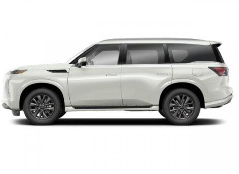 Thumbnail image of 2025 INFINITI QX80 at Riverhead Auto Mall