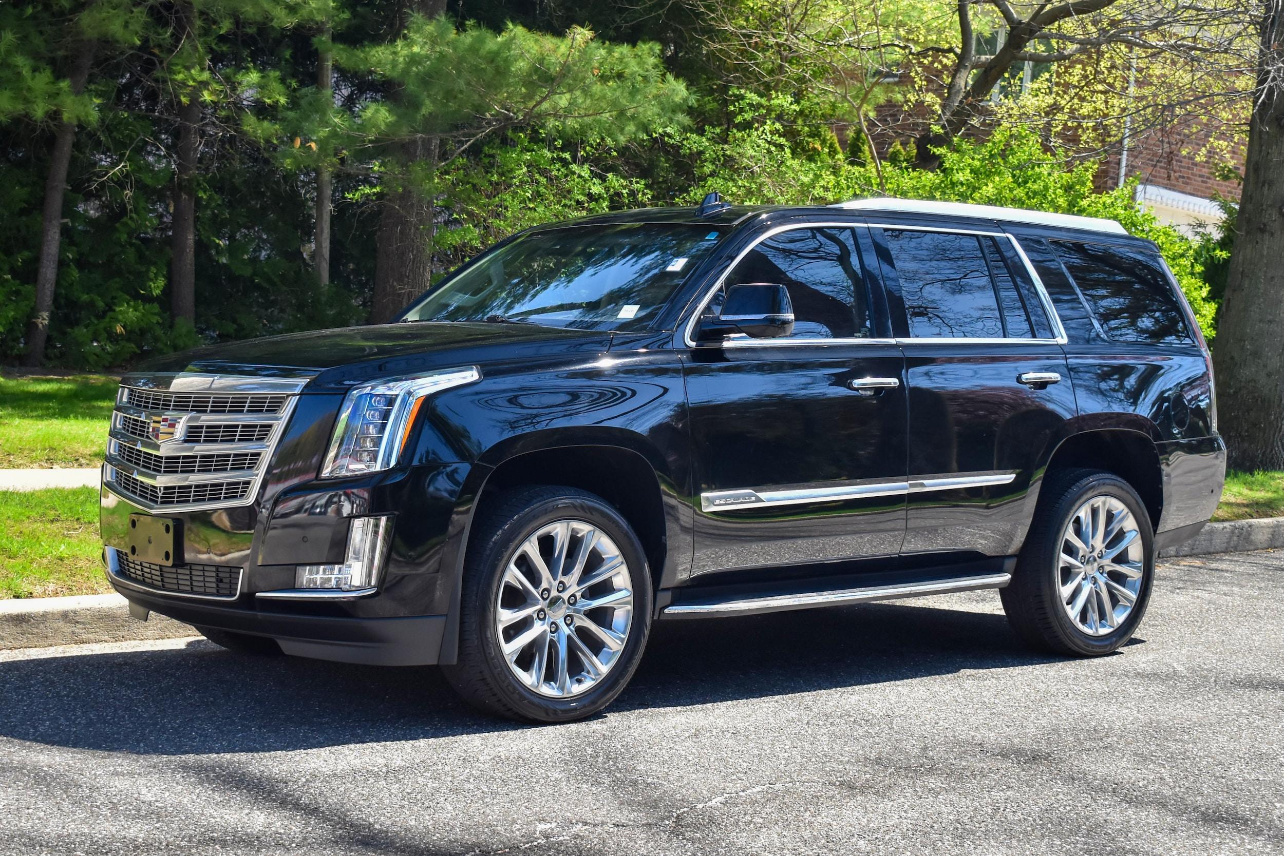 Thumbnail image of 2019 Cadillac Escalade at Import Masters