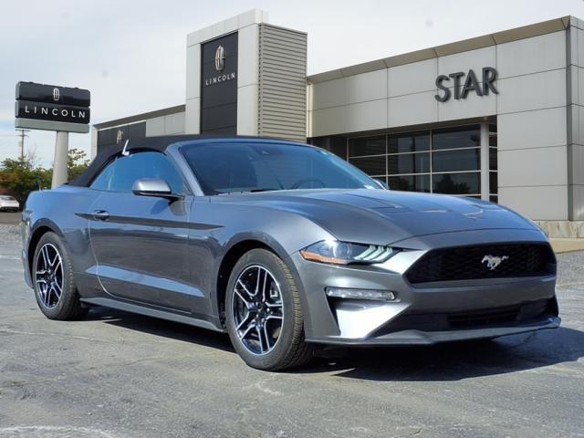 Thumbnail image of 2022 Ford Mustang at Star Lincoln, Inc.